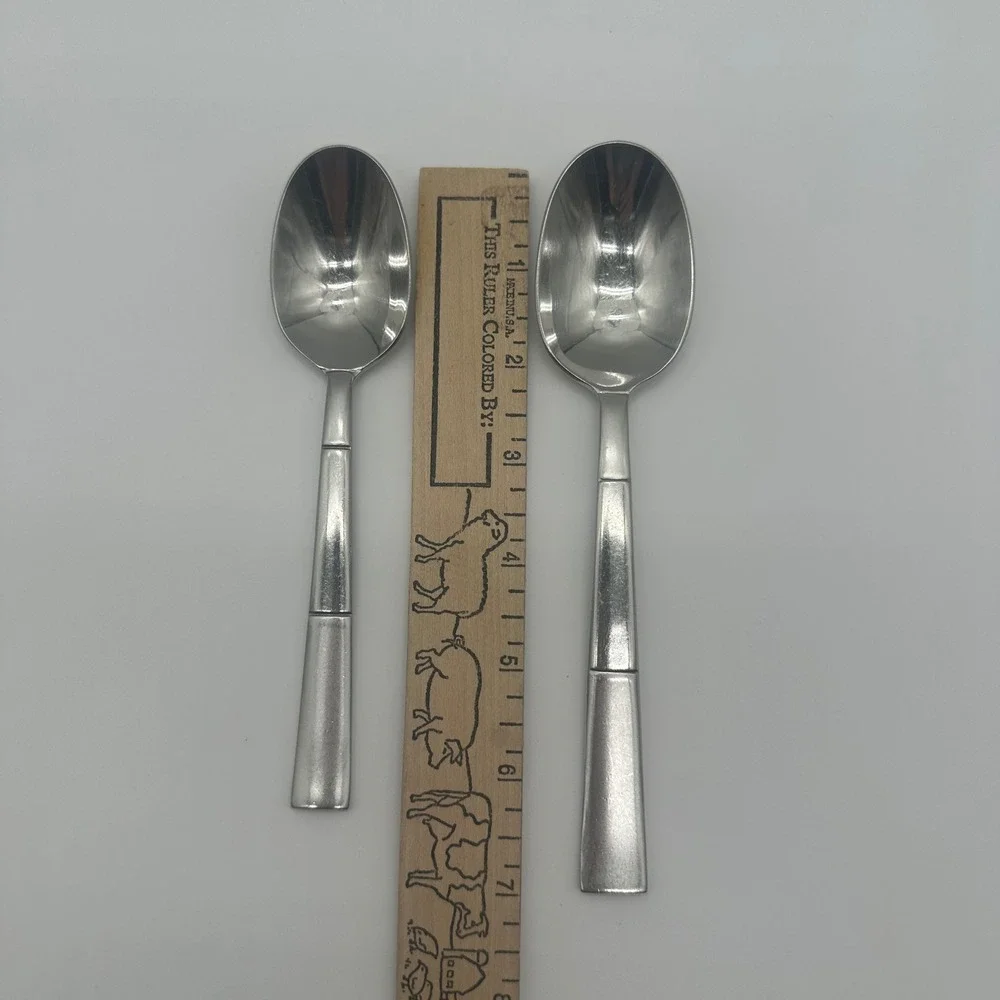 Oneida Echo 18/10 Stainless Steel Flatware 2 Piece Set Teaspoon and Soup Spoon